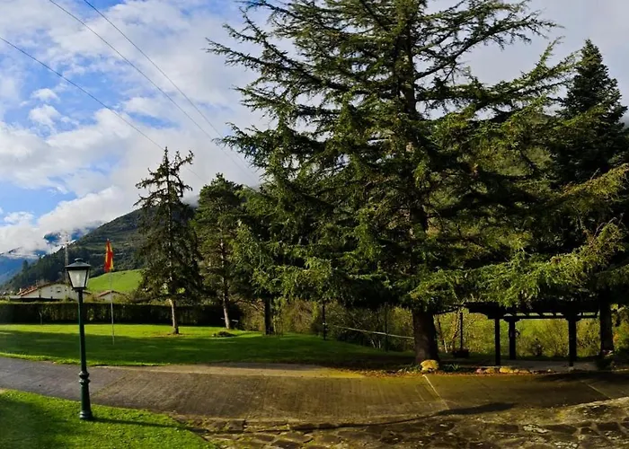 El Nial De Los Pinos
