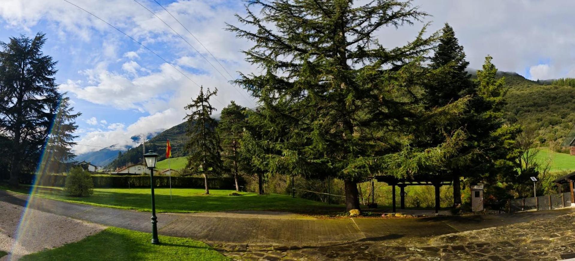 El Nial De Pinos * Ojedo